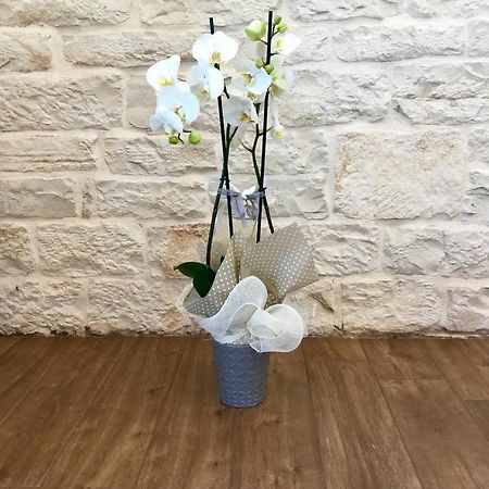 B&B Sant'Agostino Giovinazzo Extérieur photo