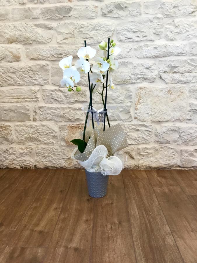 B&B Sant'Agostino Giovinazzo Extérieur photo